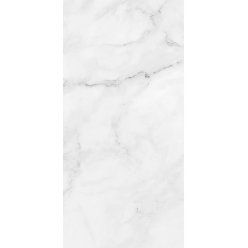 Panneau mural douche aluminium composite Winwall Marmor gris, 1 pièce, 2500x1250 mm