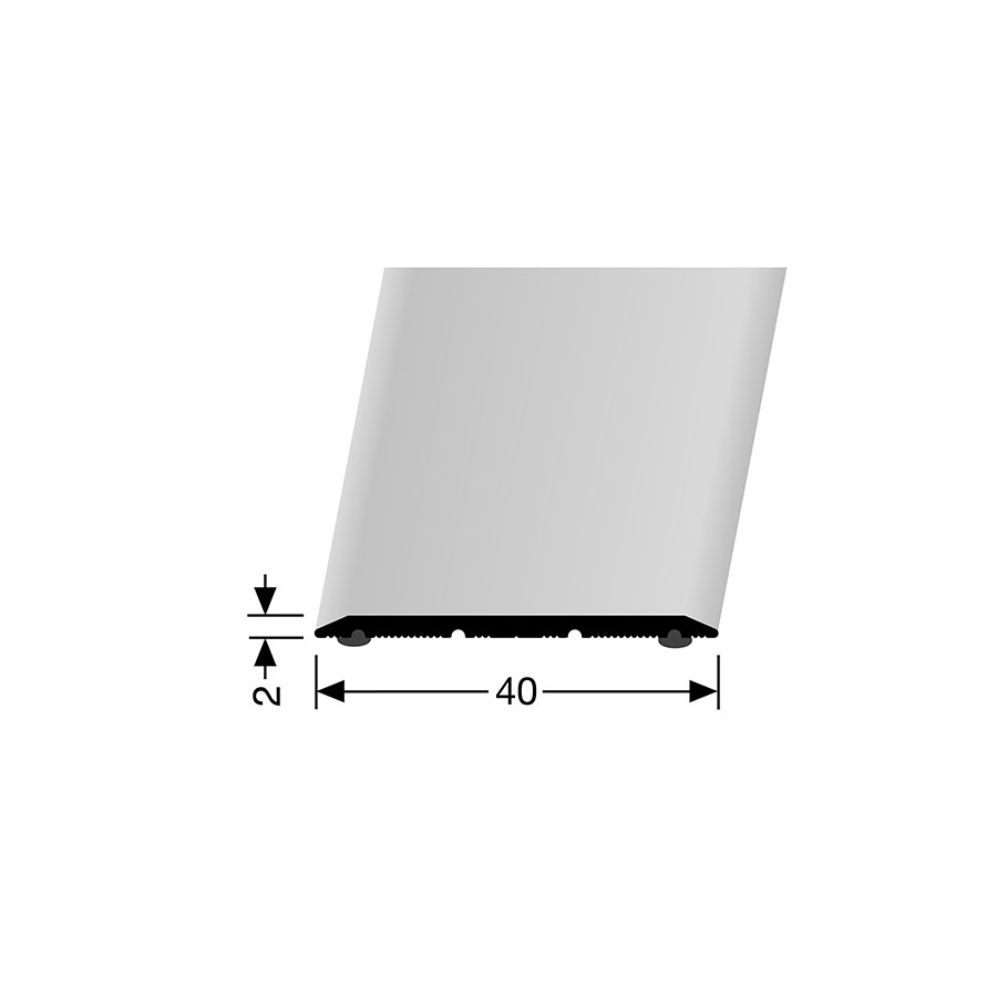 Barre de seuil de transition en alu anodisé couleur argent PARKETTFREUND, 100 cm, 2 mm,40 mm
