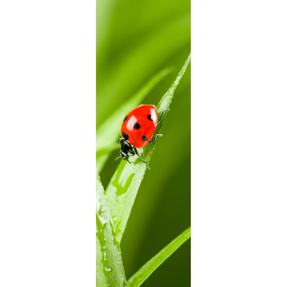 Ximax Raumheizkörper Design Heizkörper P1 Plan Print Marienkäfer vertikal, 180x59,5 cm (1088 W)