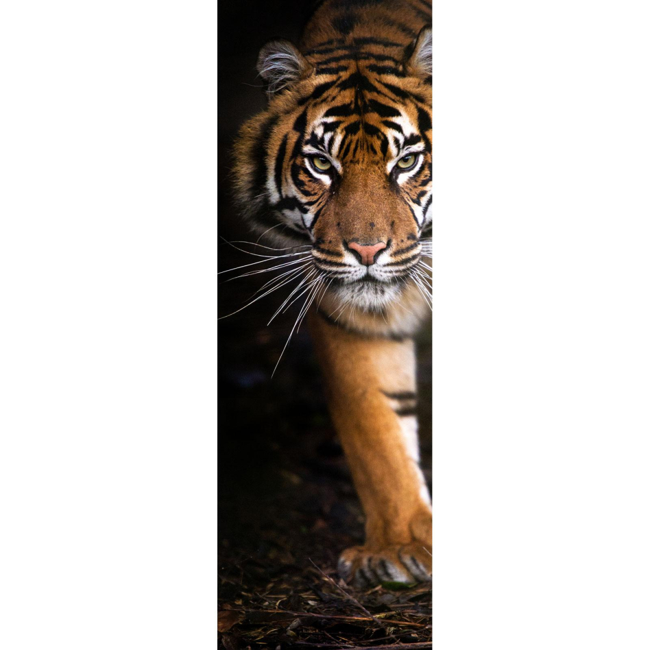Ximax Raumheizkörper Design Heizkörper P1 Plan Print Tiger vertikal, 180x59,5 cm (1088 W)