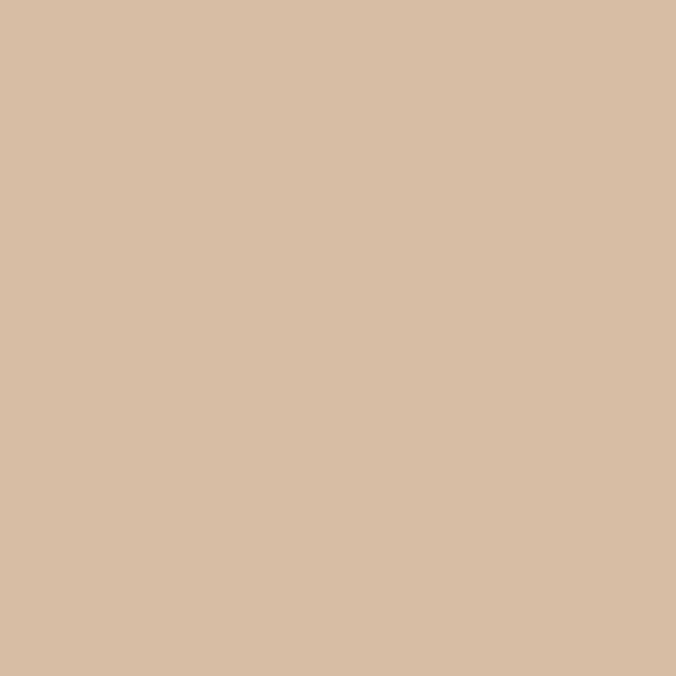 ClayTec Lehm-Anstrich Braun CLAYFIX, Braun BR 3, 1,5 kg,Grobkorn