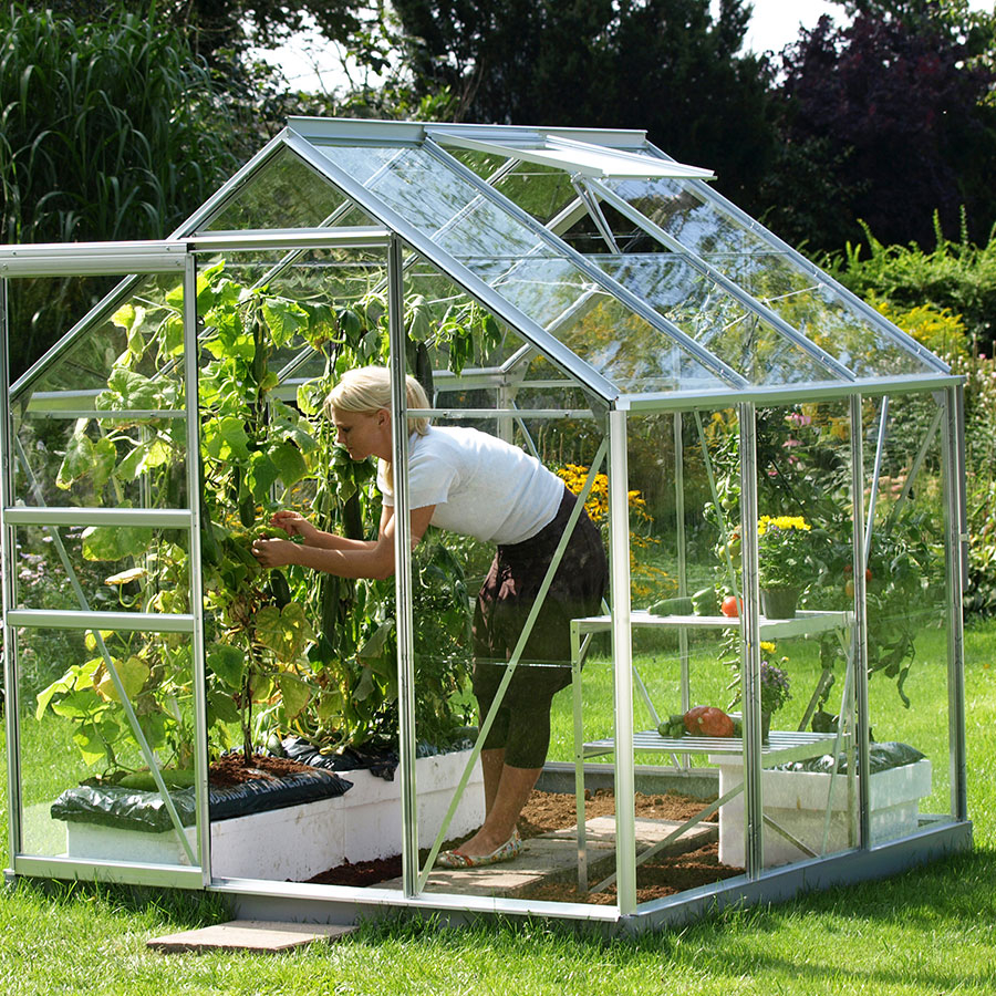 Vitavia Gewächshaus Venus Tomatenhaus Silber, 3 mm, 195x195x197 cm (LxBxH),ESG (Einscheibensicherheitsglas, kristallklar)
