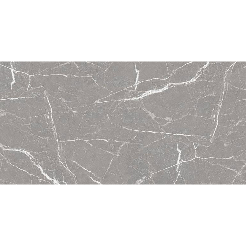 Wellker Fliesen Fresnillo Grau glasiert glänzend rektifiziert Stärke 9 mm, 60x120 cm, 1 Pack