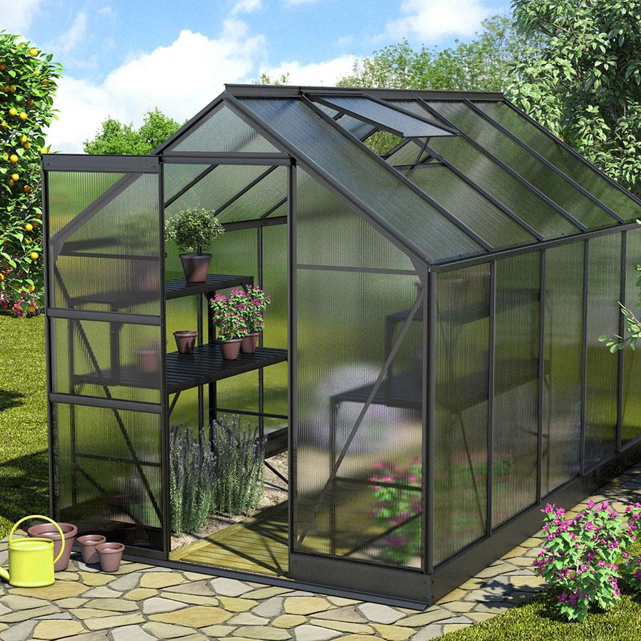 Vitavia Gewächshaus Apollo Tomatenhaus Schwarz, 6 mm, 323x195x207 cm (LxBxH)