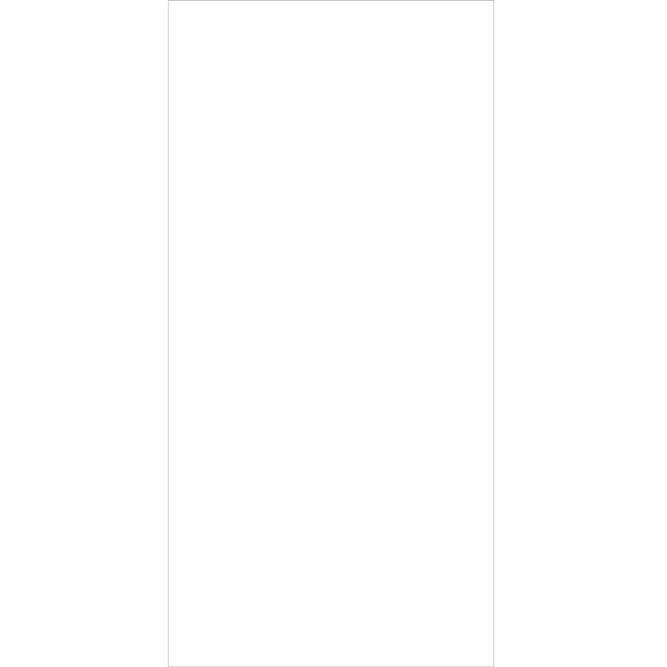 Panneau mural douche aluminium composite Winwall Basics blanc, 1 pièce, 2500x1000 mm