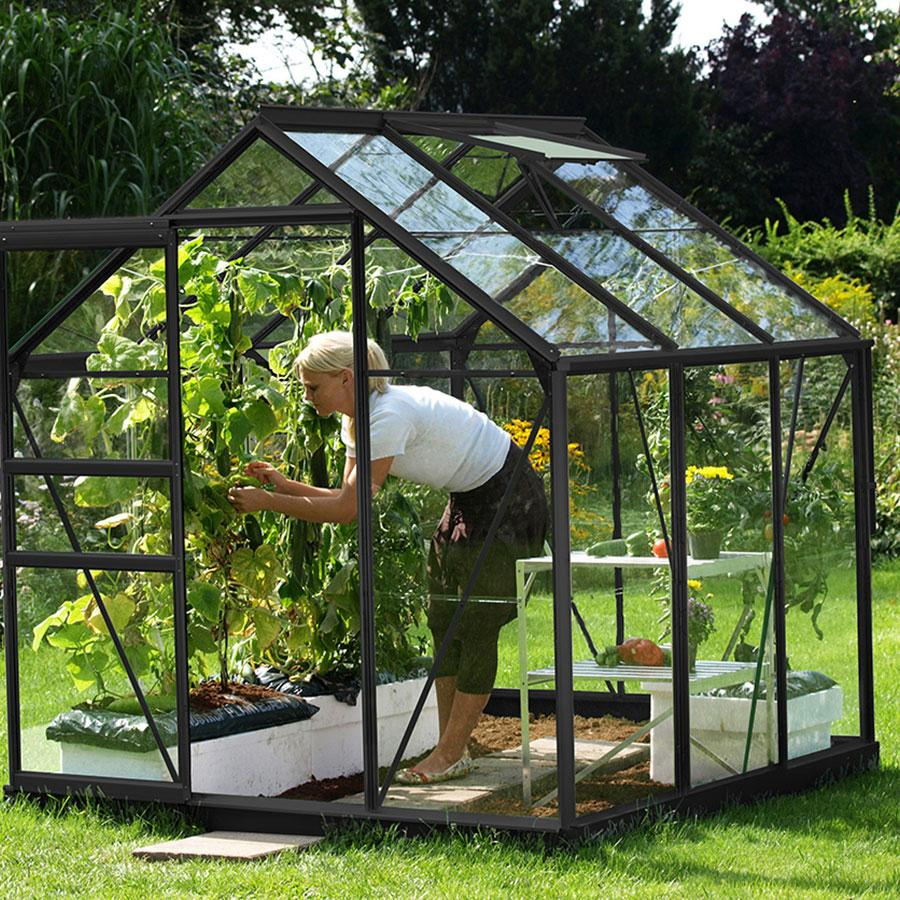 Vitavia Gewächshaus Venus Tomatenhaus Schwarz, 3 mm, 195x195x197 cm (LxBxH),ESG (Einscheibensicherheitsglas, kristallklar)