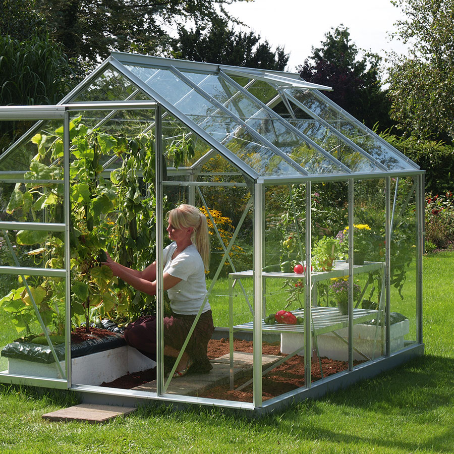 Vitavia Gewächshaus Venus Tomatenhaus Silber, 3 mm, 257x195x197 cm (LxBxH),ESG (Einscheibensicherheitsglas, kristallklar)