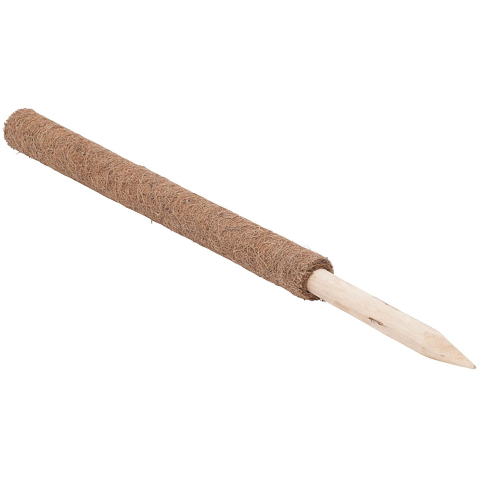 Windhager Kokos-Pflanzstab verlängerbar, 80 cm