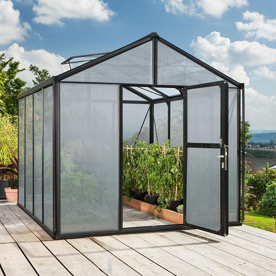 Vitavia Gewächshaus Zeus Tomatenhaus Schwarz, 10 mm, 316x258x250 cm (LxBxH)