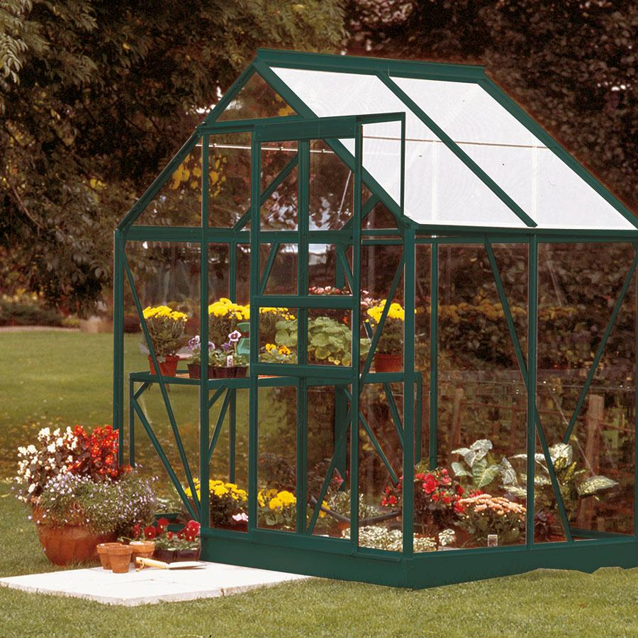 Vitavia Gewächshaus Venus Tomatenhaus Smaragd, 3 mm, 131x195x197 cm (LxBxH),ESG (Einscheibensicherheitsglas, kristallklar)