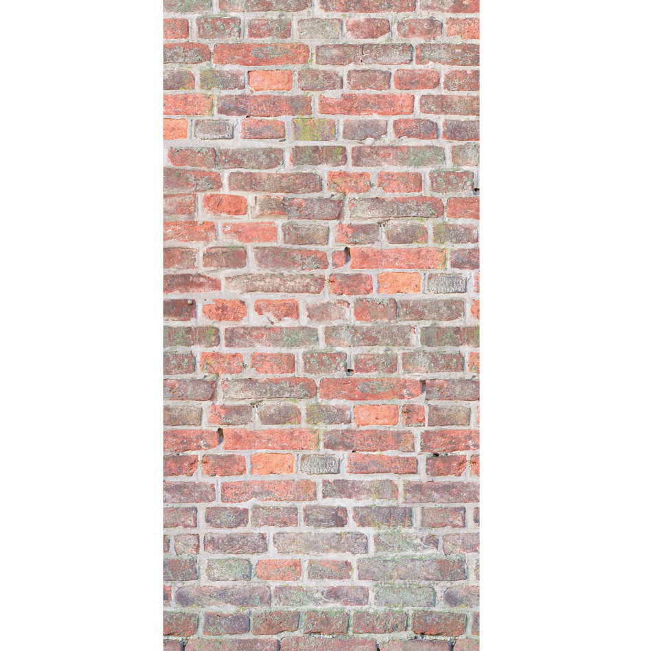 Panneau mural douche aluminium composite Winwall Brique, 1 pièce, 2500x1000 mm