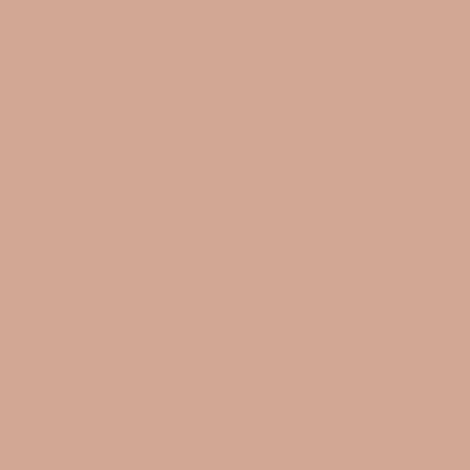 ClayTec Lehm-Anstrich Rot CLAYFIX ohne Korn, Rot RO 2, 1,5 kg,Grobkorn