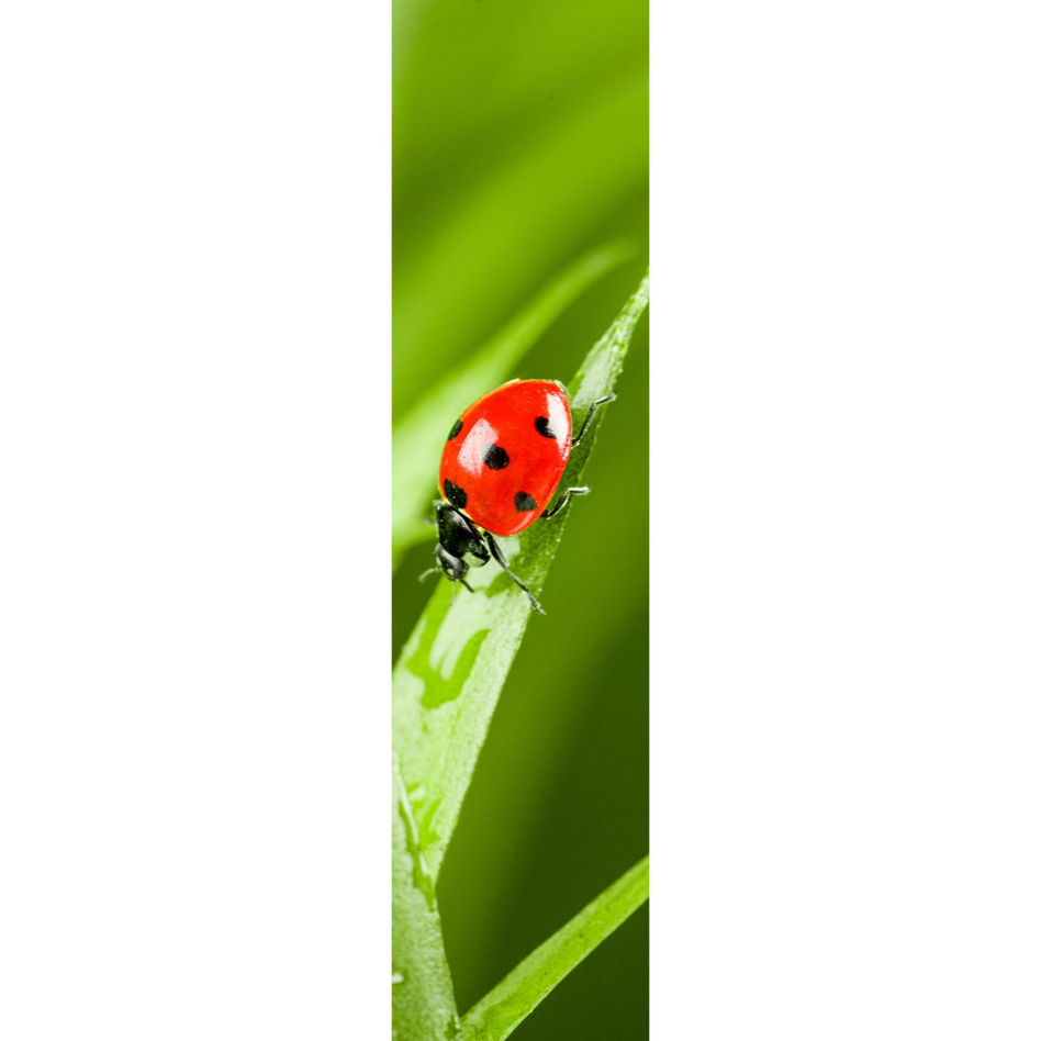 Ximax Raumheizkörper Design Heizkörper P1 Plan Print Marienkäfer vertikal, 180x44,5 cm (816 W)