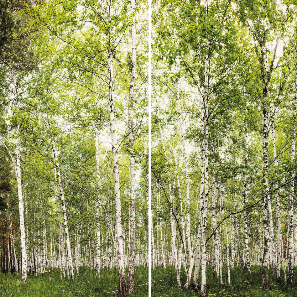 Panneau mural de douche Winwall en composite aluminium Forêt de bouleaux, Jeu de 2, 2500x1000 mm
