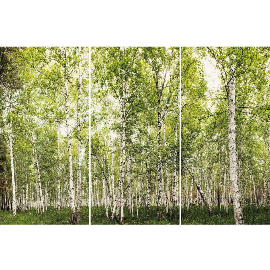 Panneau mural de douche Winwall en composite aluminium Forêt de bouleaux, Jeu de 3, 2500x1000 mm