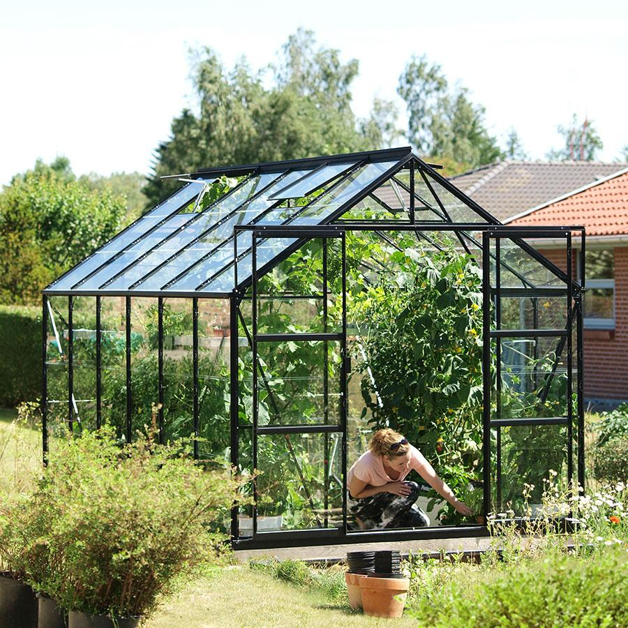 Vitavia Gewächshaus Uranus Tomatenhaus Schwarz, 3 mm, 383x257x248 cm (LxBxH),ESG (Einscheibensicherheitsglas, kristallklar)