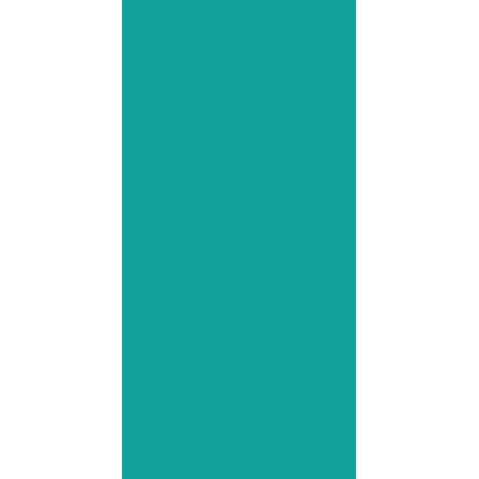 Panneau mural douche aluminium composite Winwall Basics turquoise, 1 pièce, 2500x1250 mm