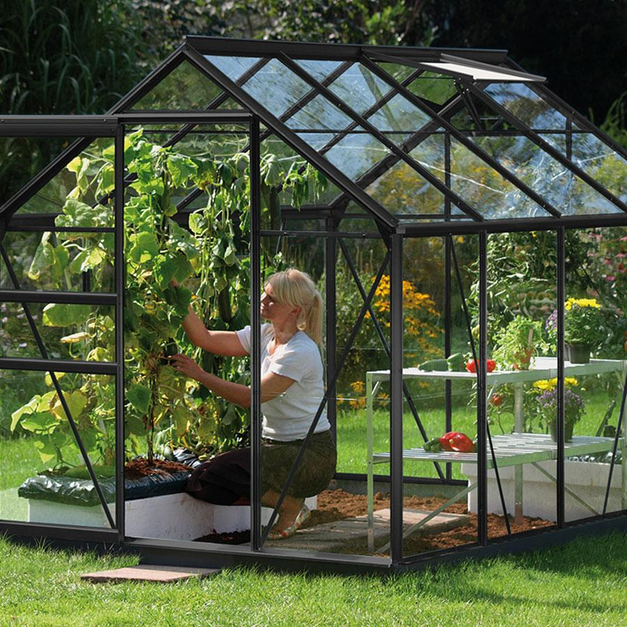 Vitavia Gewächshaus Venus Tomatenhaus Schwarz, 3 mm, 257x195x197 cm (LxBxH),ESG (Einscheibensicherheitsglas, kristallklar)
