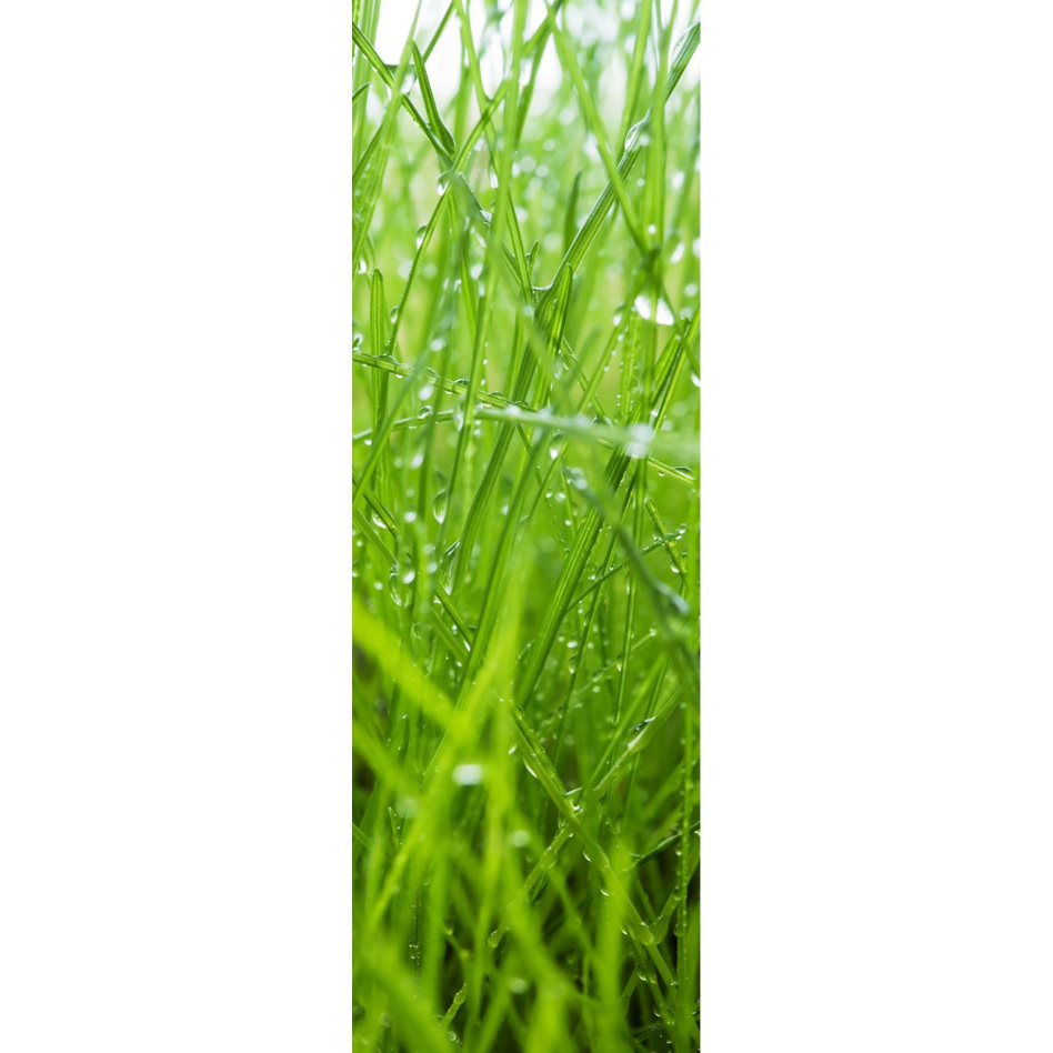 Ximax Raumheizkörper Design Heizkörper P1 Plan Print Gras vertikal, 180x59,5 cm (1088 W)