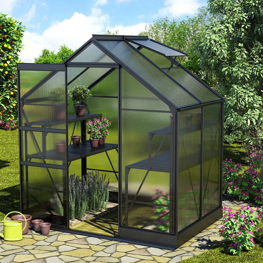 Vitavia Gewächshaus Apollo Tomatenhaus Schwarz, 6 mm, 137x195x207 cm (LxBxH)