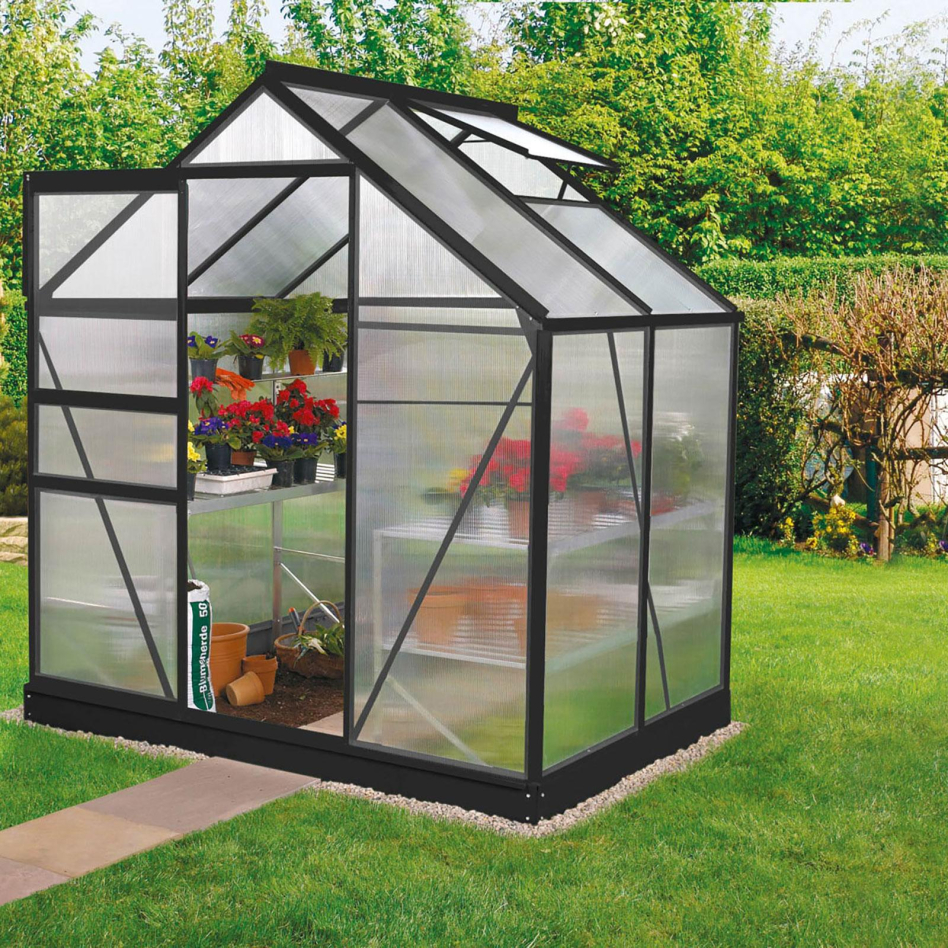 Vitavia Gewächshaus Venus Tomatenhaus Schwarz, 6 mm, 131x195x197 cm (LxBxH),HKP (Hohlkammerplatten)