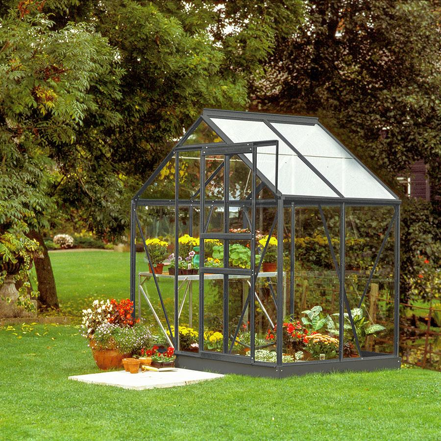 Vitavia Gewächshaus Venus Tomatenhaus Schwarz, 3 mm, 131x195x197 cm (LxBxH),ESG (Einscheibensicherheitsglas, kristallklar)