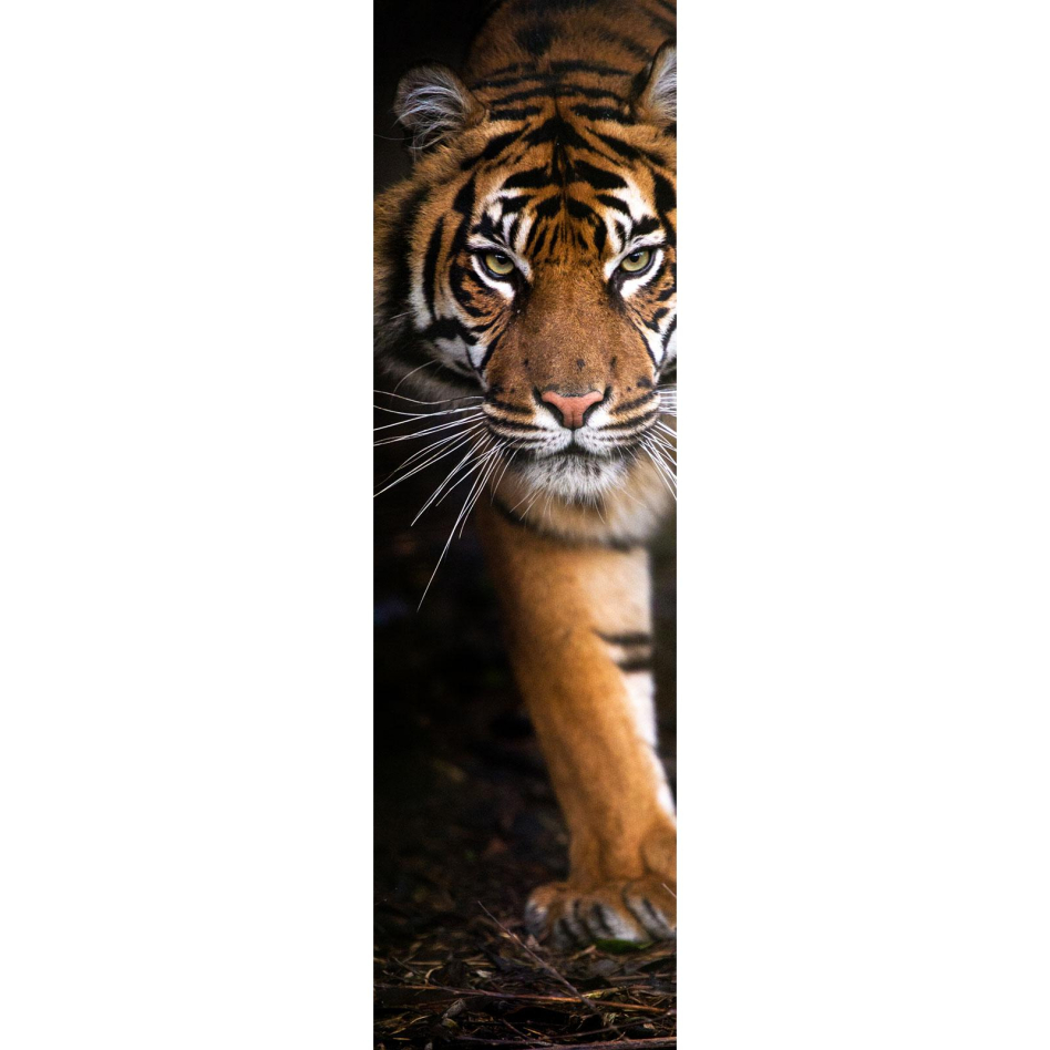 Ximax Raumheizkörper Design Heizkörper P1 Plan Print Tiger vertikal, 180x52 cm (952 W)