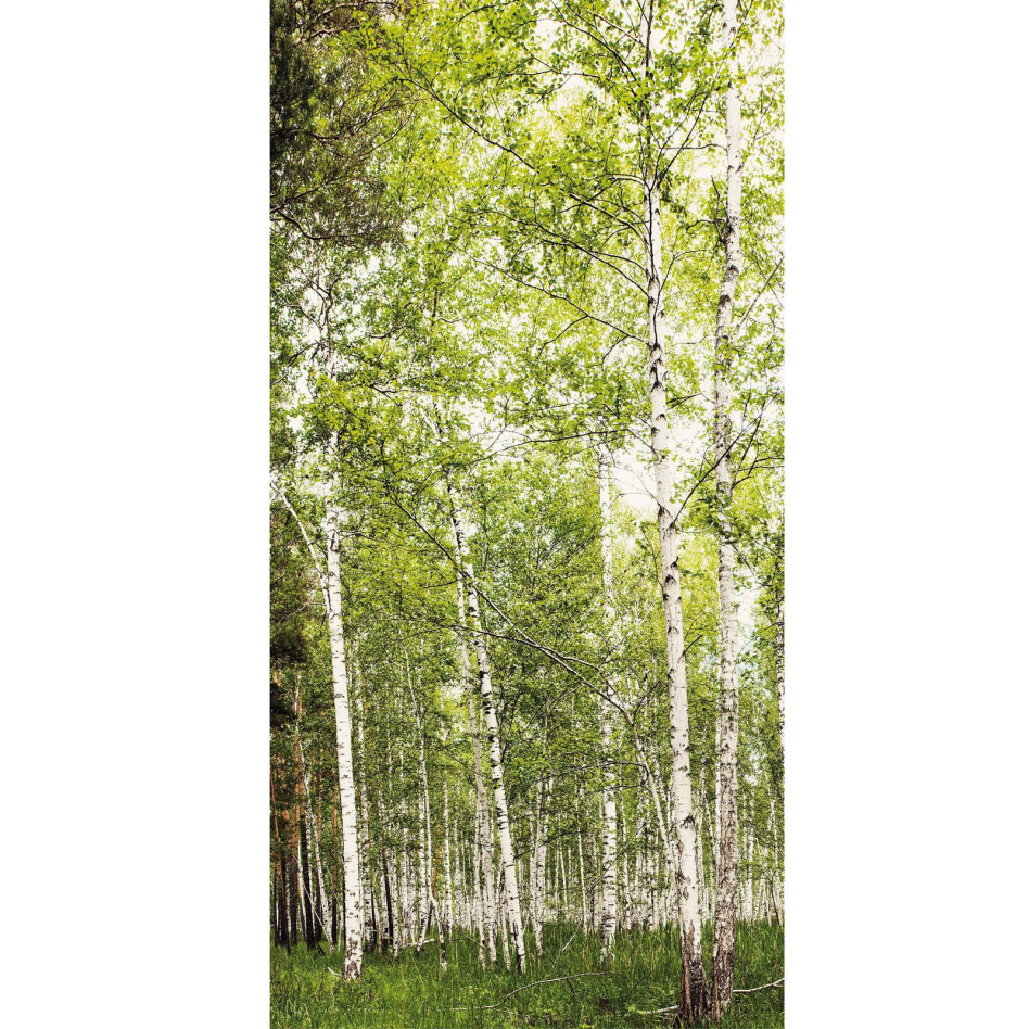 Panneau mural de douche Winwall en composite aluminium Forêt de bouleaux, 1 pièce, 2500x1000 mm