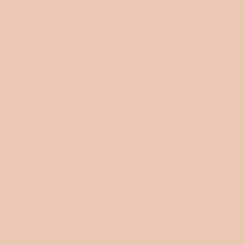 ClayTec Lehm-Anstrich Rot CLAYFIX ohne Korn, Rot RO 3, 1,5 kg,Feinkorn