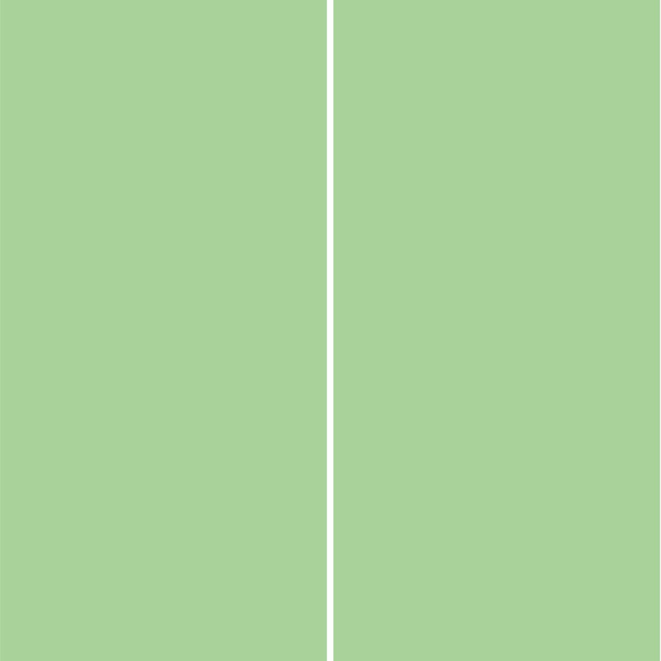 Panneau mural douche aluminium composite Winwall Trend vert tilleul, Jeu de 2, 2500x1000 mm