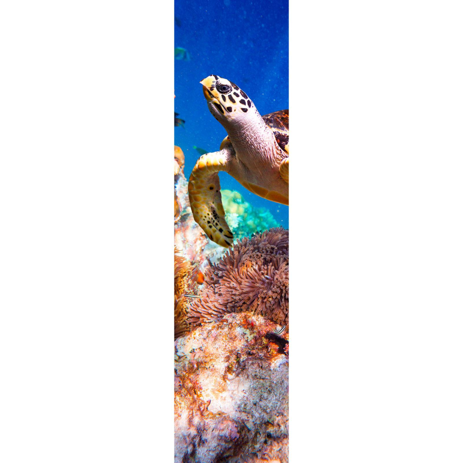 Ximax Raumheizkörper Design Heizkörper P1 Plan Print Schildkröte vertikal, 180x44,5 cm (816 W)
