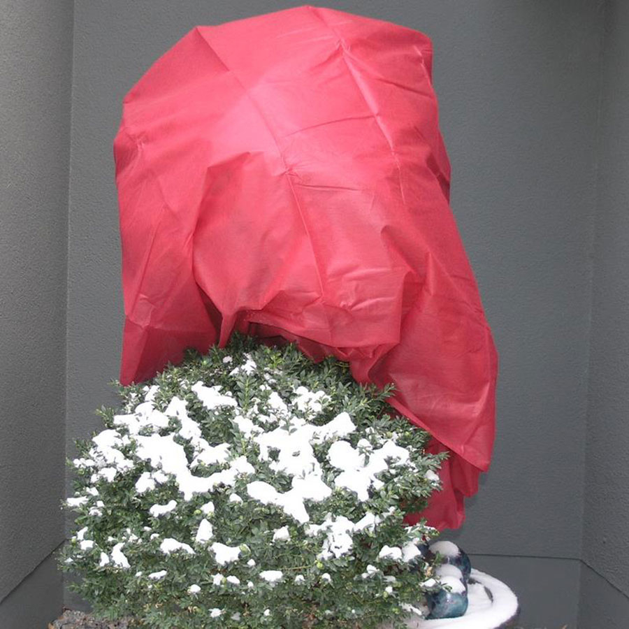 NOOR Wintervlies Winterschutz, Rot