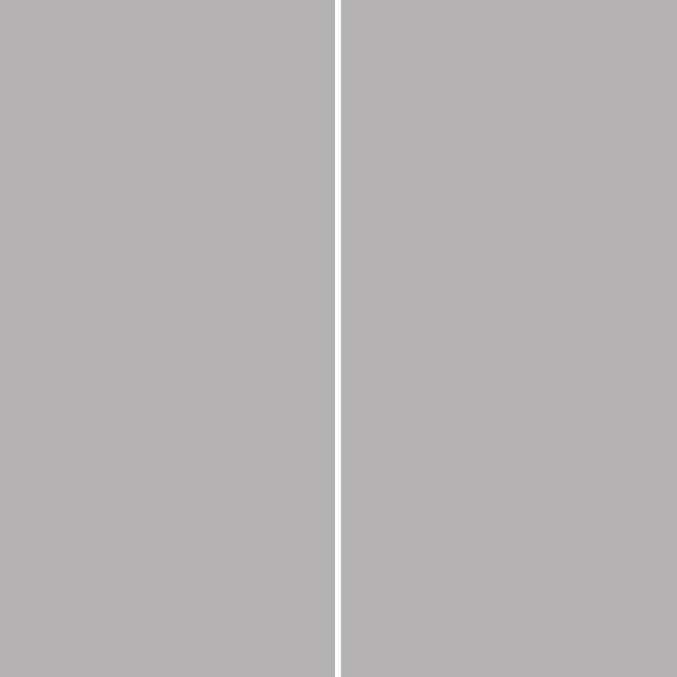 Panneau mural douche aluminium composite Winwall Basics gris argent, Jeu de 2, 2500x1250 mm