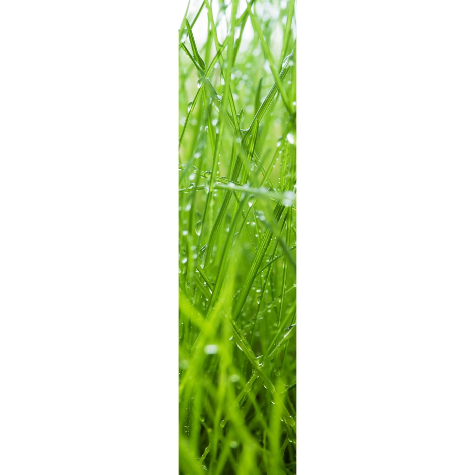 Ximax Raumheizkörper Design Heizkörper P1 Plan Print Gras vertikal, 180x44,5 cm (816 W)
