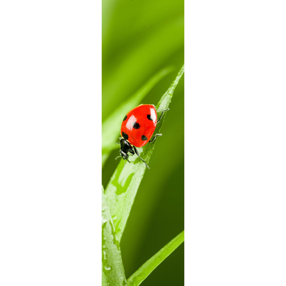 Ximax Raumheizkörper Design Heizkörper P1 Plan Print Marienkäfer vertikal, 180x52 cm (952 W)