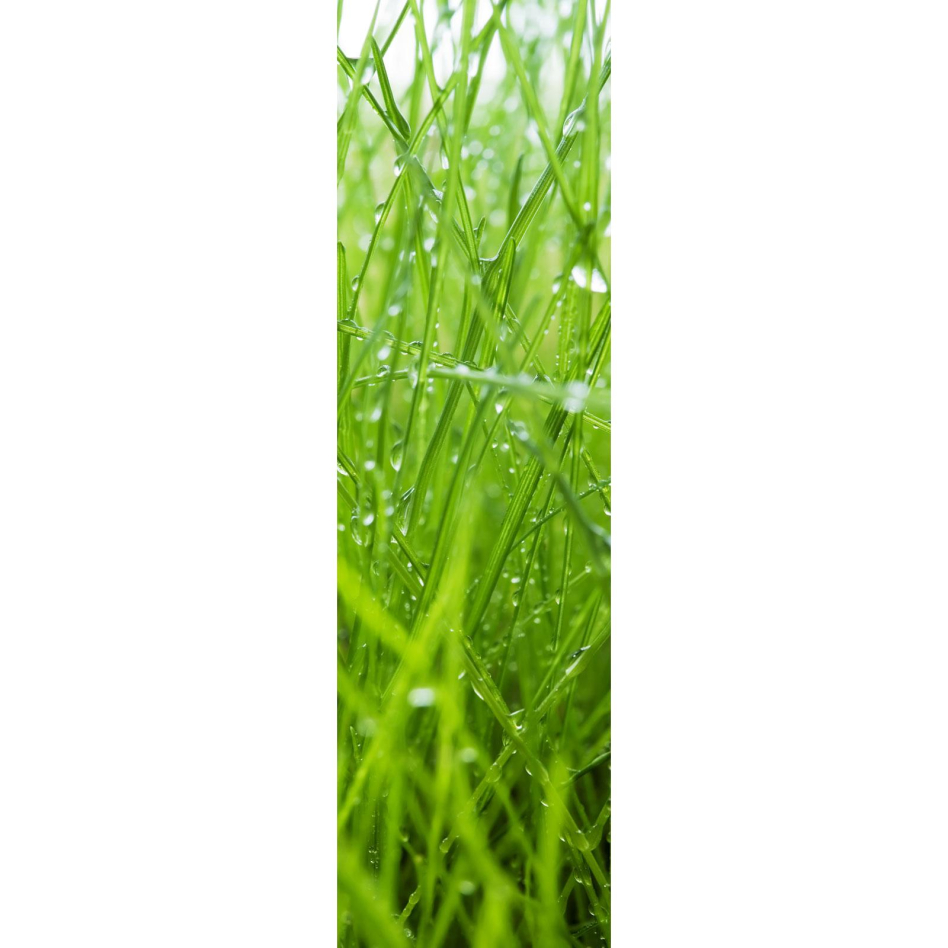 Ximax Raumheizkörper Design Heizkörper P1 Plan Print Gras vertikal, 180x52 cm (952 W)