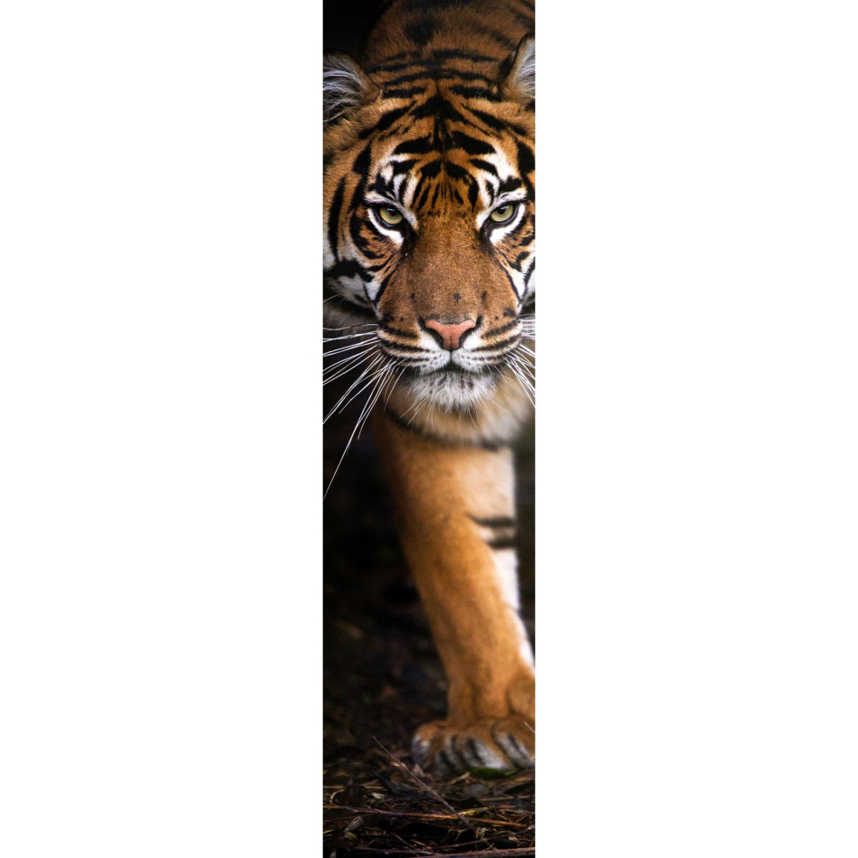 Ximax Raumheizkörper Design Heizkörper P1 Plan Print Tiger vertikal, 180x44,5 cm (816 W)