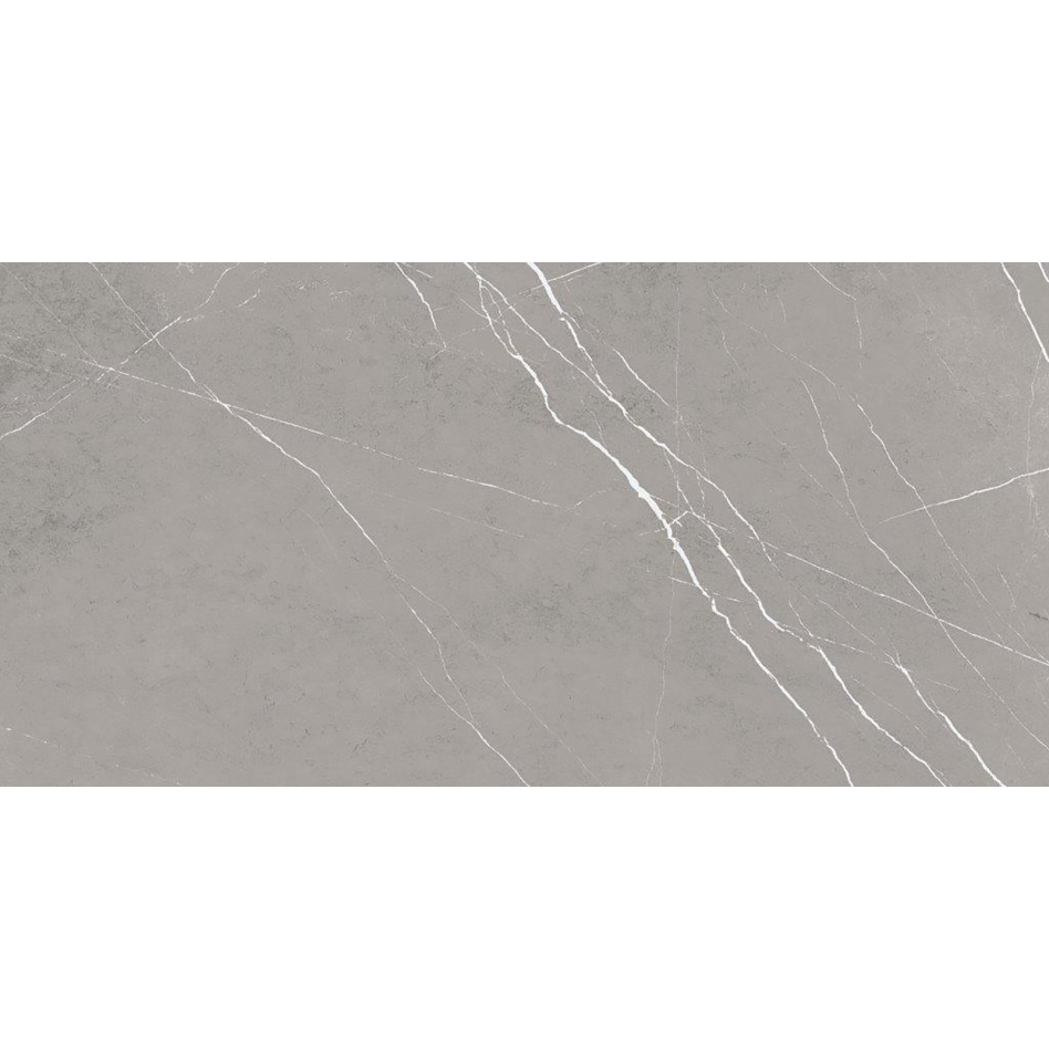 Wellker Fliesen Hermosillo Dunkelgrau glasiert matt rektifiziert Stärke 9 mm, 30x60 cm, 1 Pack