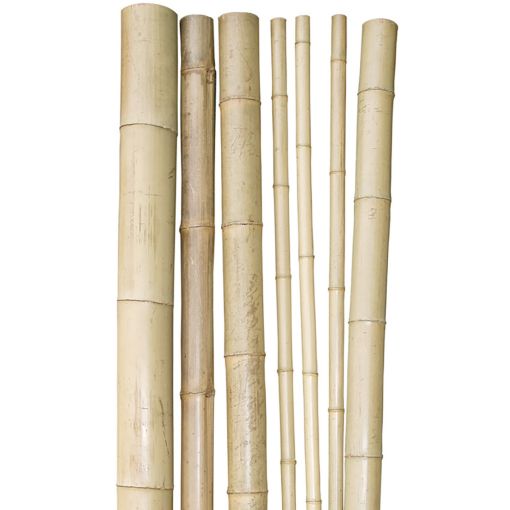 Windhager Bambus-Pflanzstab 250x4,5-6 cm 2