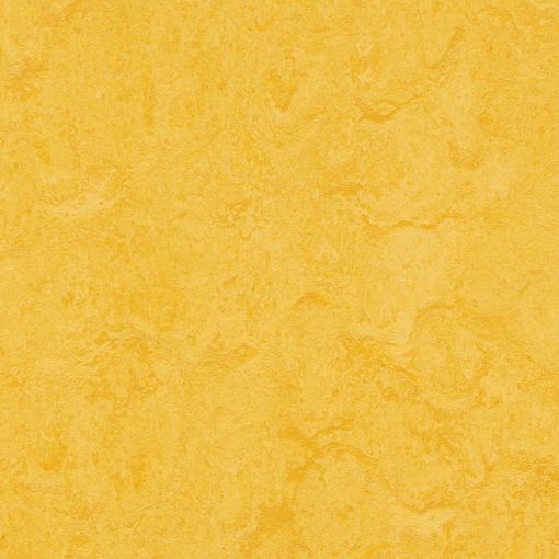 forbo Linoleum Marmoleum Click lemon 2