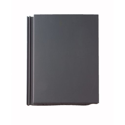 BRAAS Dachstein Tegalit Protegon (matt) 2