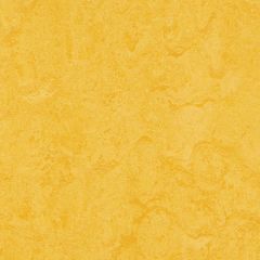 Linoleum