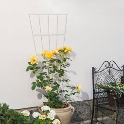 Windhager Gitterspalier Rankhilfe 150 cm 3