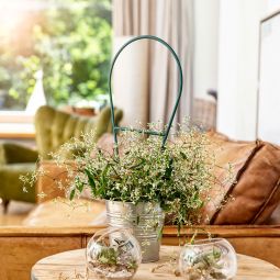 Windhager Bogenspalier Rankhilfe 44x19 cm 3