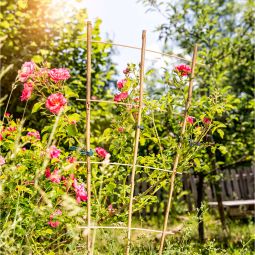 Windhager Bambus-Rankgitter Rankhilfe 4