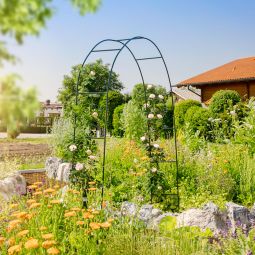 Windhager Rosenbogen Basic Rankhilfe, grün 3