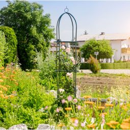 Windhager Obelisk Rankhilfe, grün 193x42cm 4