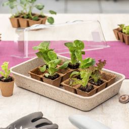 Windhager Anzuchtschale ECO natur 382x242 3