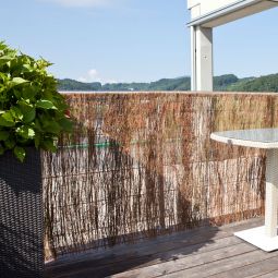 Windhager Sichtschutzmatte Heidekrautmatte PREMIUM Greenline 5