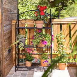 Windhager Pflanzenregal 3-stufig, 58x31x100 cm 3